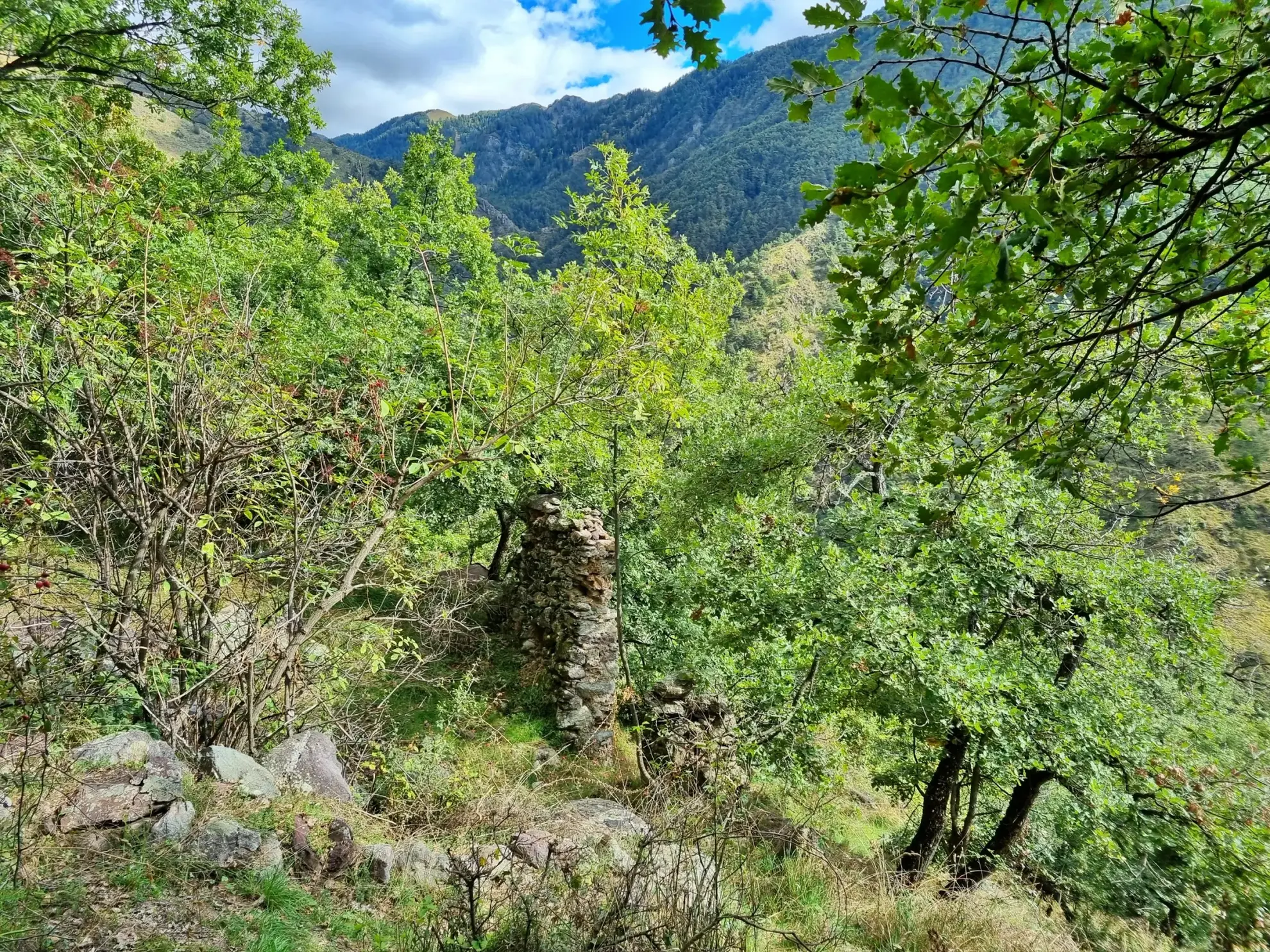 Terrain de Loisir de 1 252 m² aux Adrets, Proche de Belvédère 