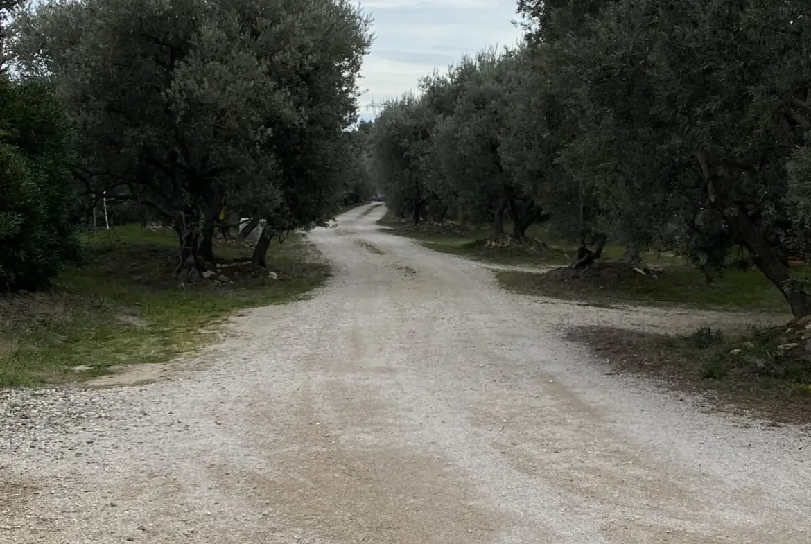 Terrain à bâtir de 394 m² à Châteauneuf de Gadagne 