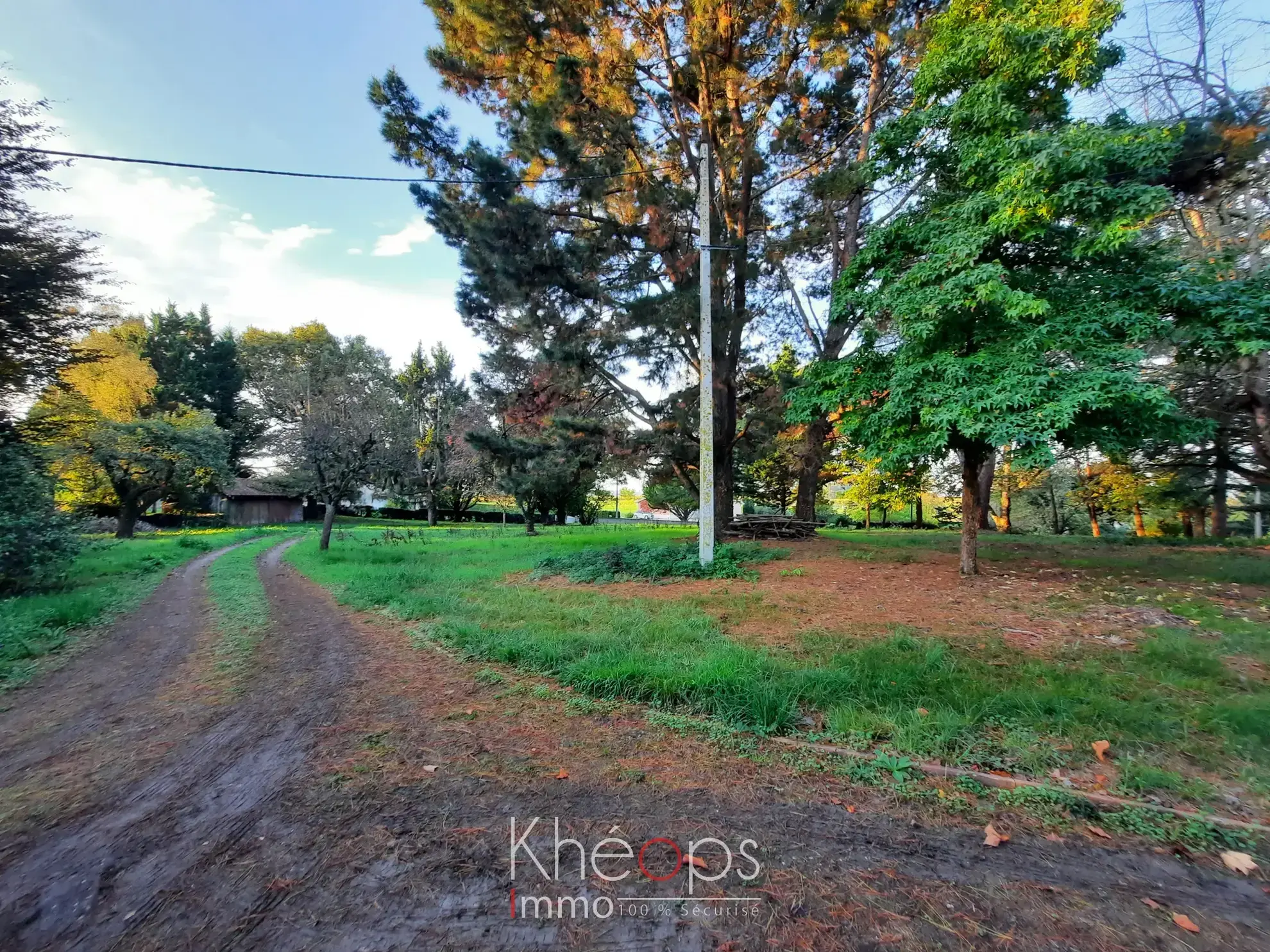 Maison ancienne de 170 m² avec garage à Sainte Gemme sur 8 310 m² de terrain 