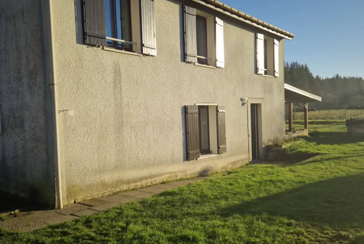 Maison de village spacieuse à Raon aux Bois 