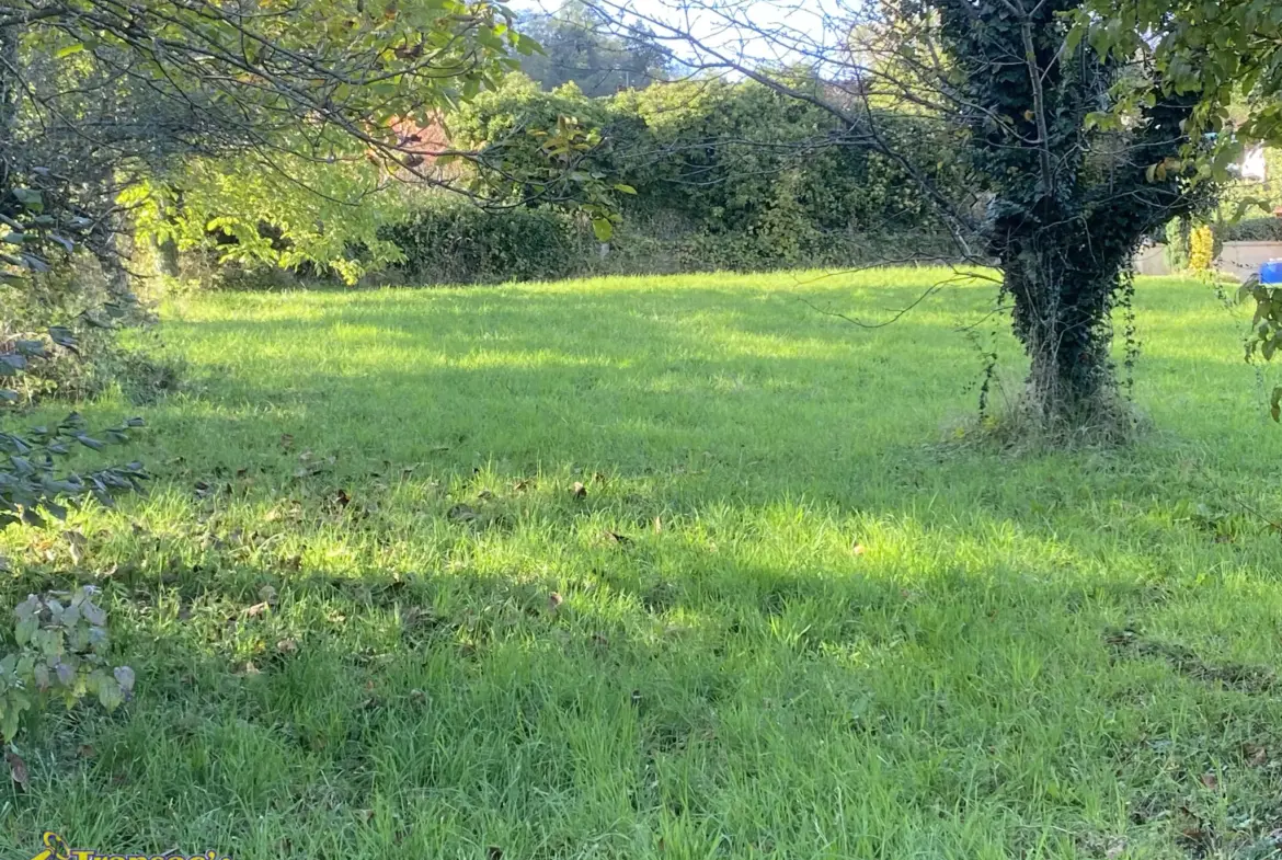 Terrain constructible de 1000 m² à vendre à Courpière 