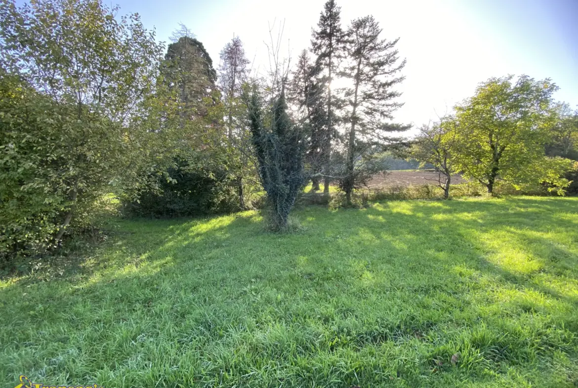 Terrain constructible de 1000 m² à vendre à Courpière 