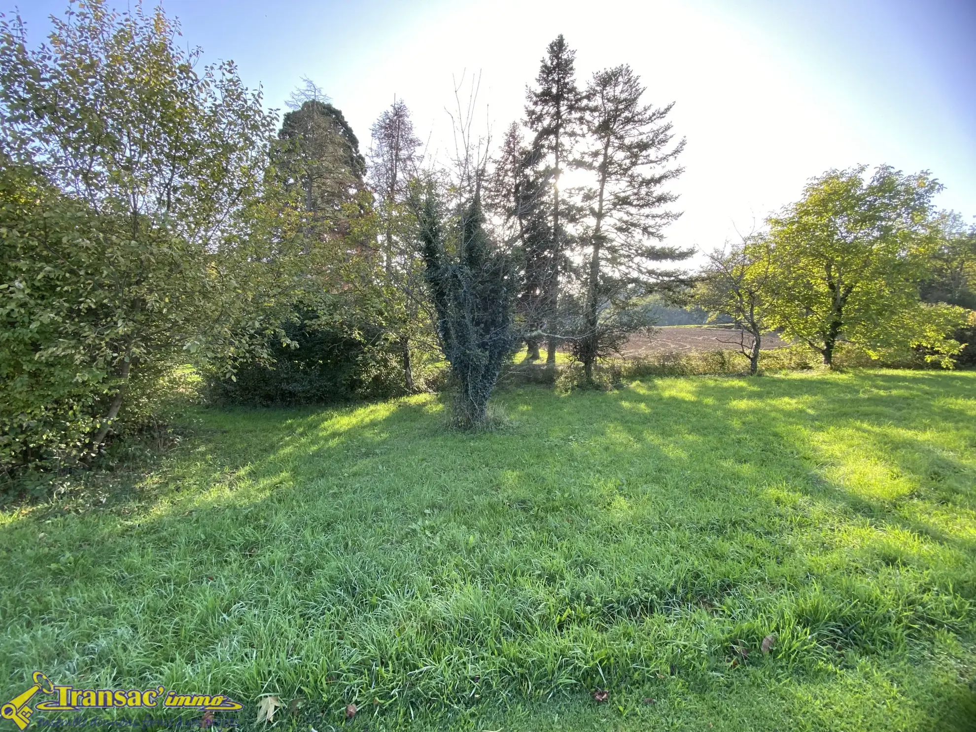 Terrain constructible de 1000 m² à vendre à Courpière 