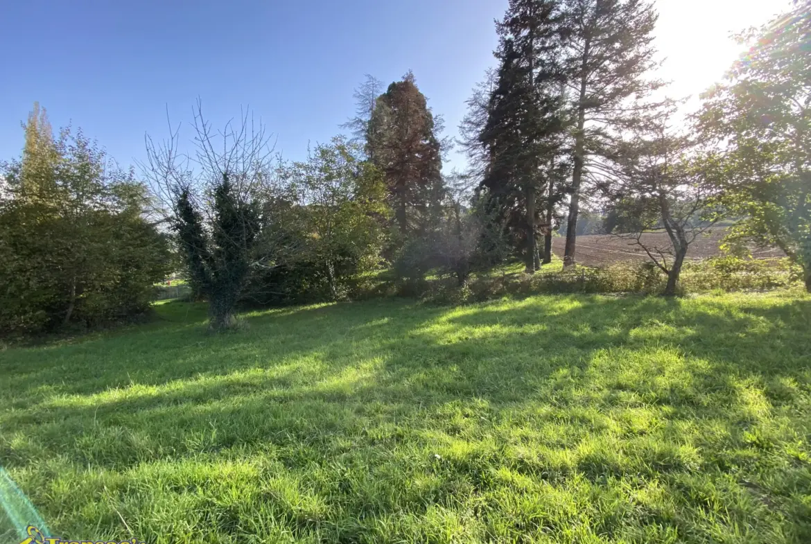 Terrain constructible de 1000 m² à vendre à Courpière 