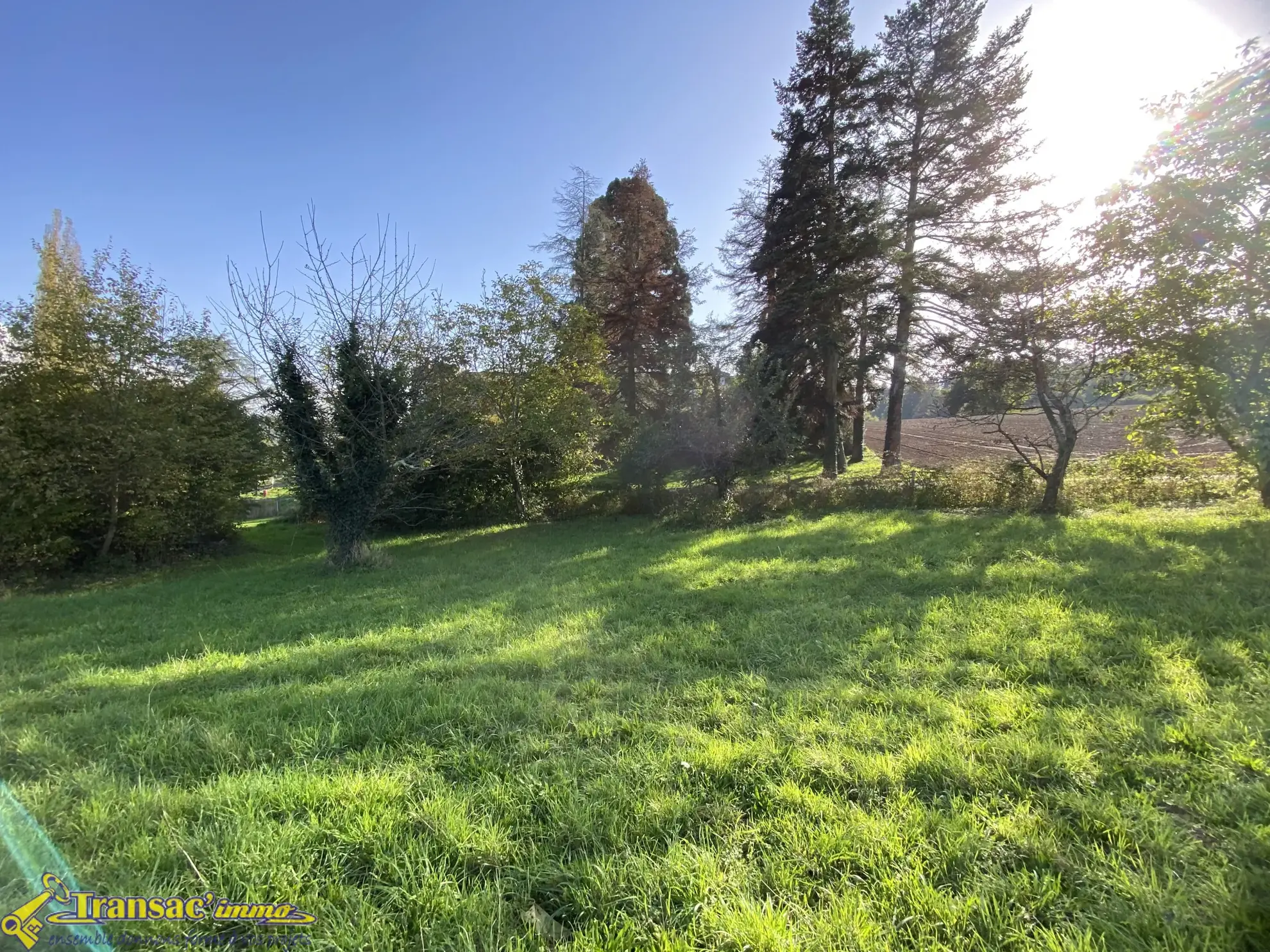 Terrain constructible de 1000 m² à vendre à Courpière 