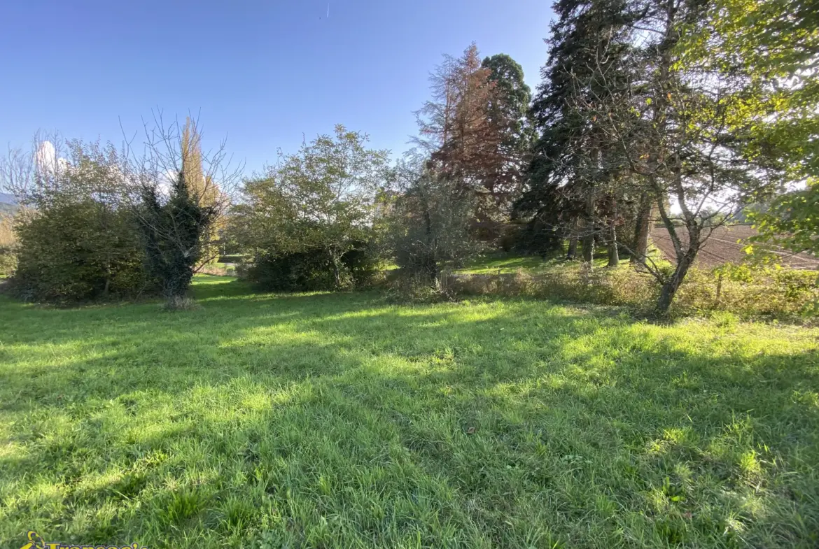 Terrain constructible de 1000 m² à vendre à Courpière 