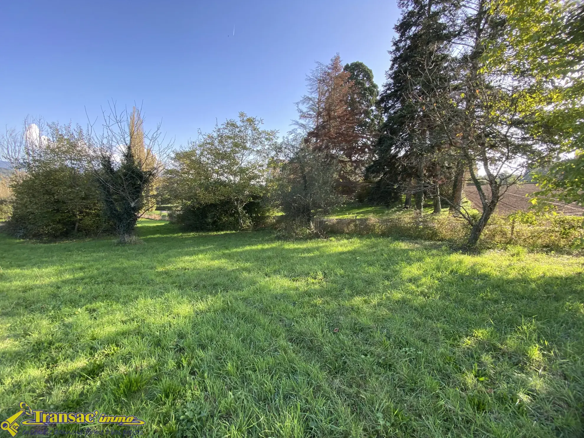 Terrain constructible de 1000 m² à vendre à Courpière 