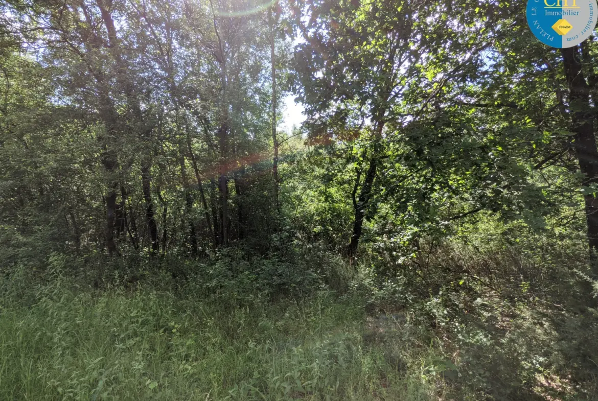 Terrain Non Constructible de 5035 m² à Loutehel 