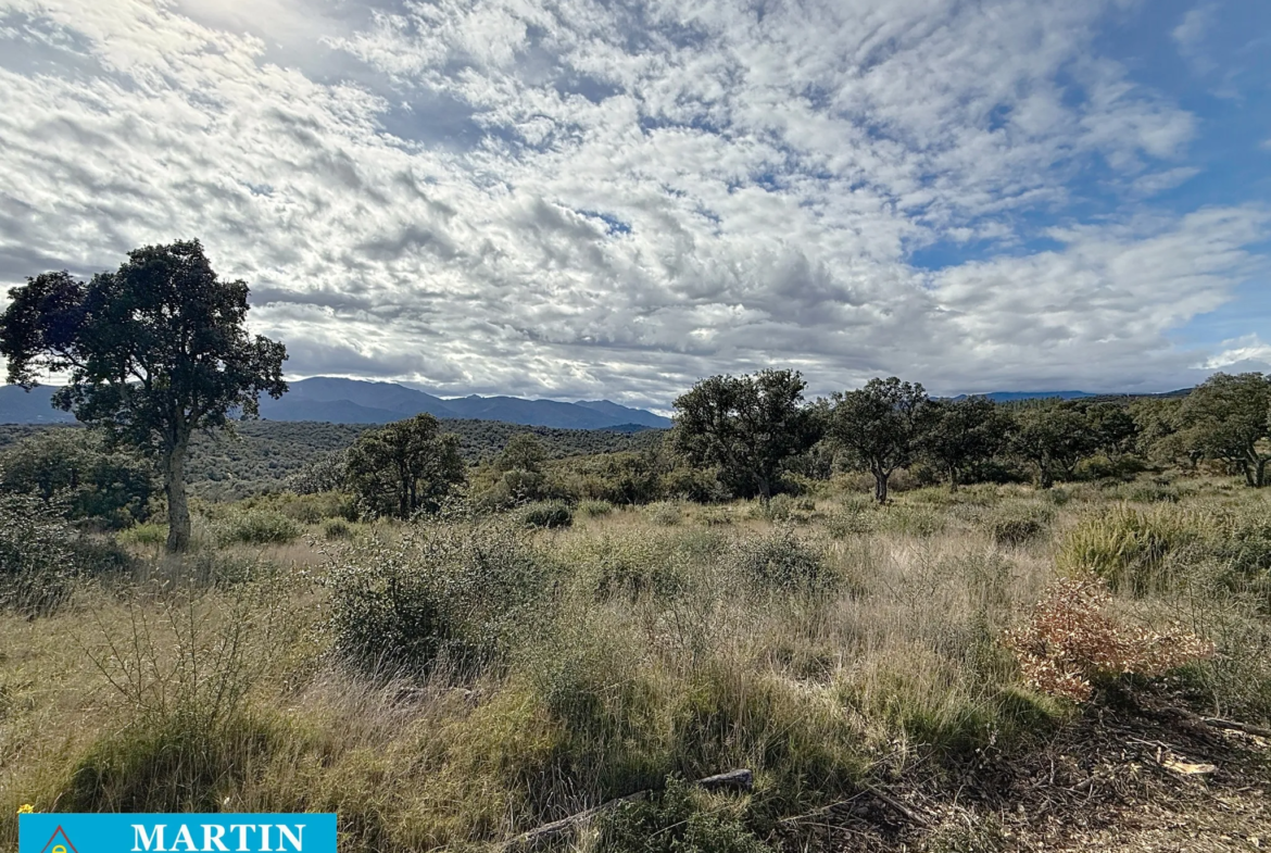 Terrain Agricole à Vendre à Vivès - 32 300 m² 