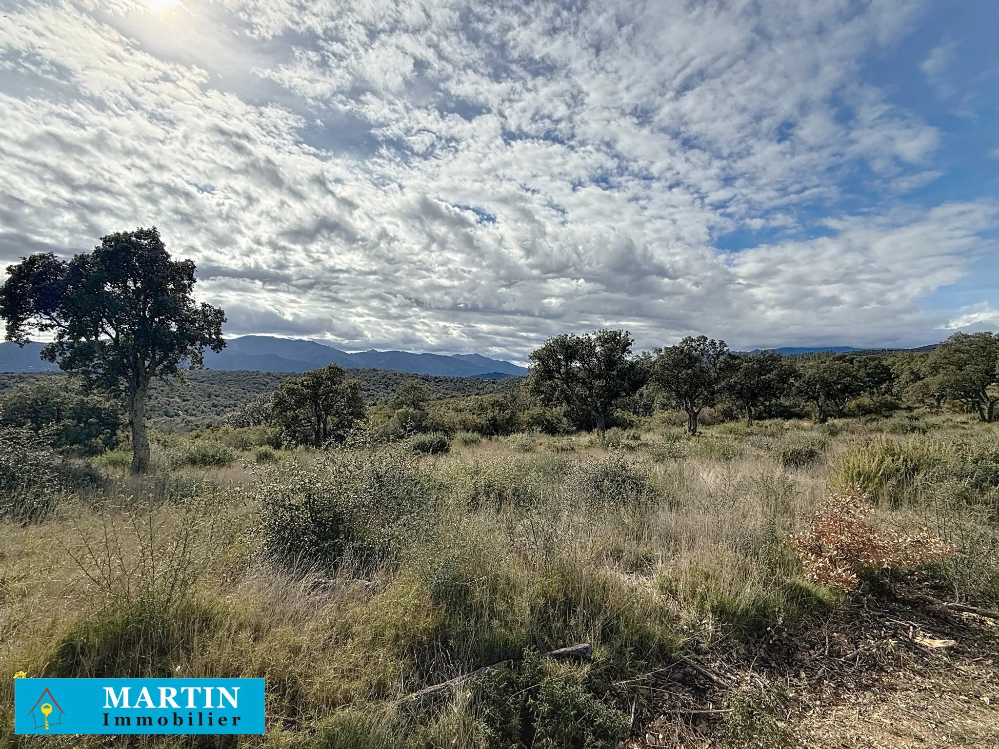 Terrain Agricole à Vendre à Vivès - 32 300 m² 