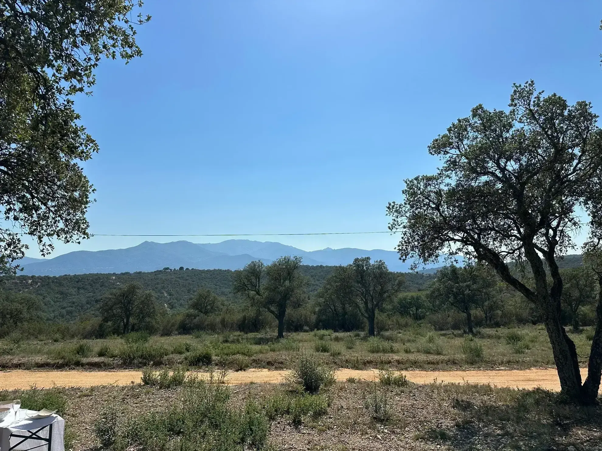 Terrain Agricole à Vendre à Vivès - 32 300 m² 