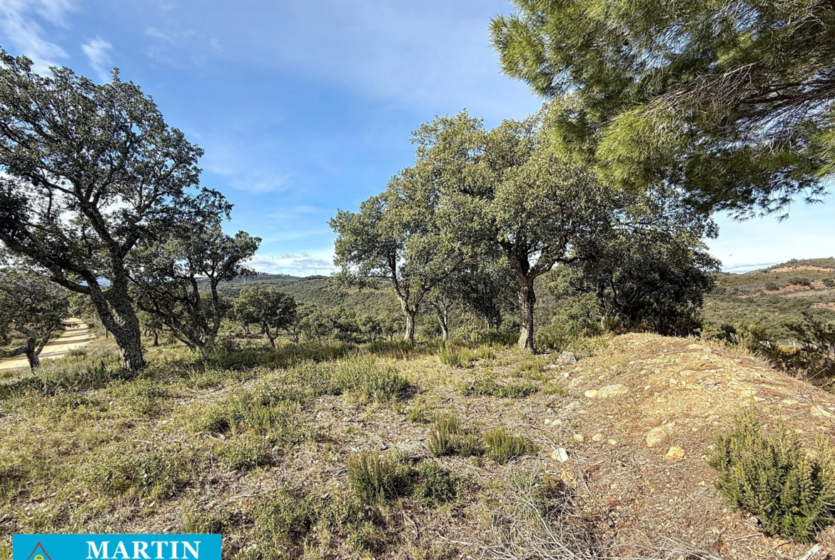 Terrain Agricole à Vendre à Vivès - 32 300 m² 