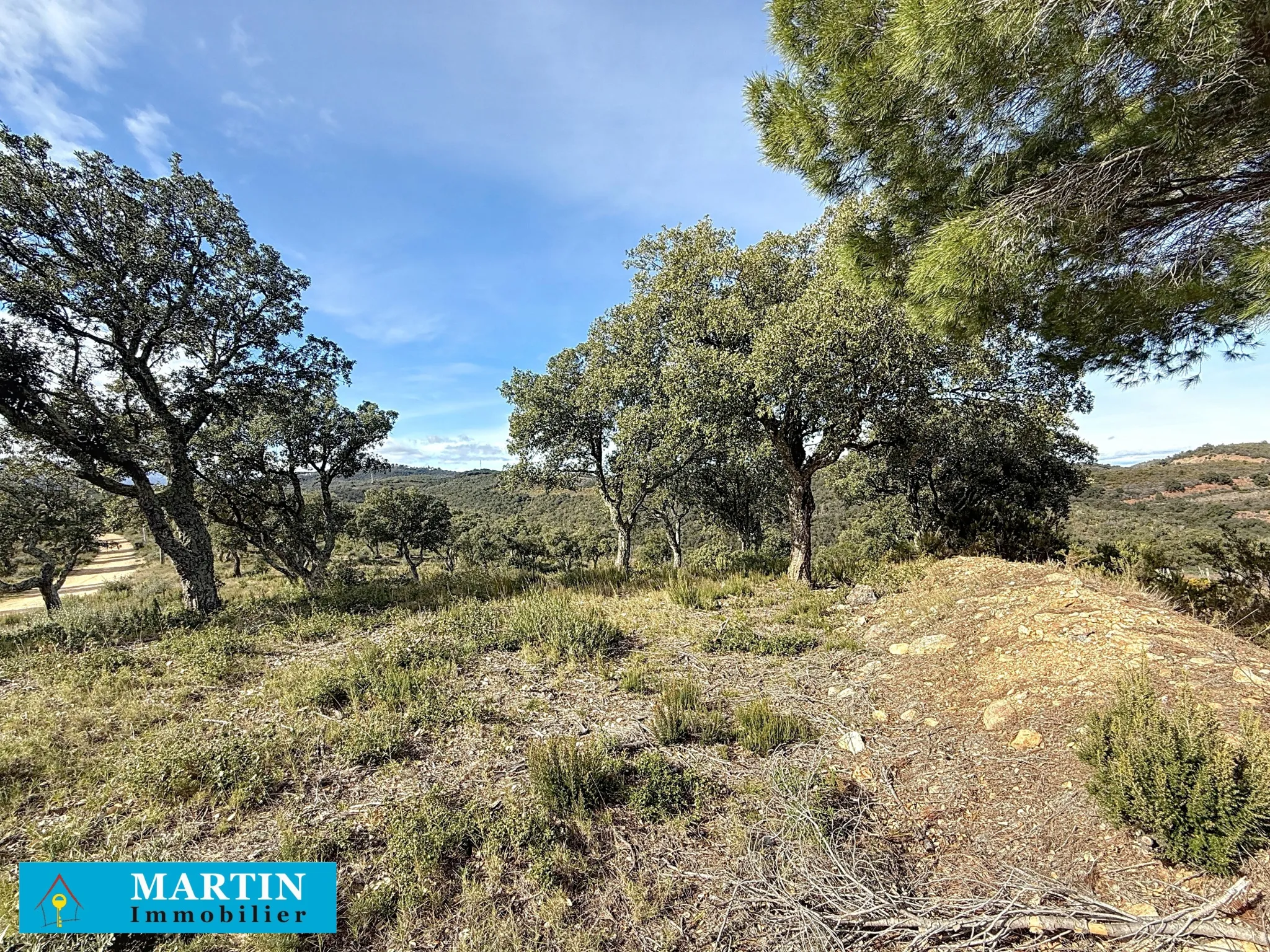 Terrain Agricole à Vendre à Vivès - 32 300 m² 