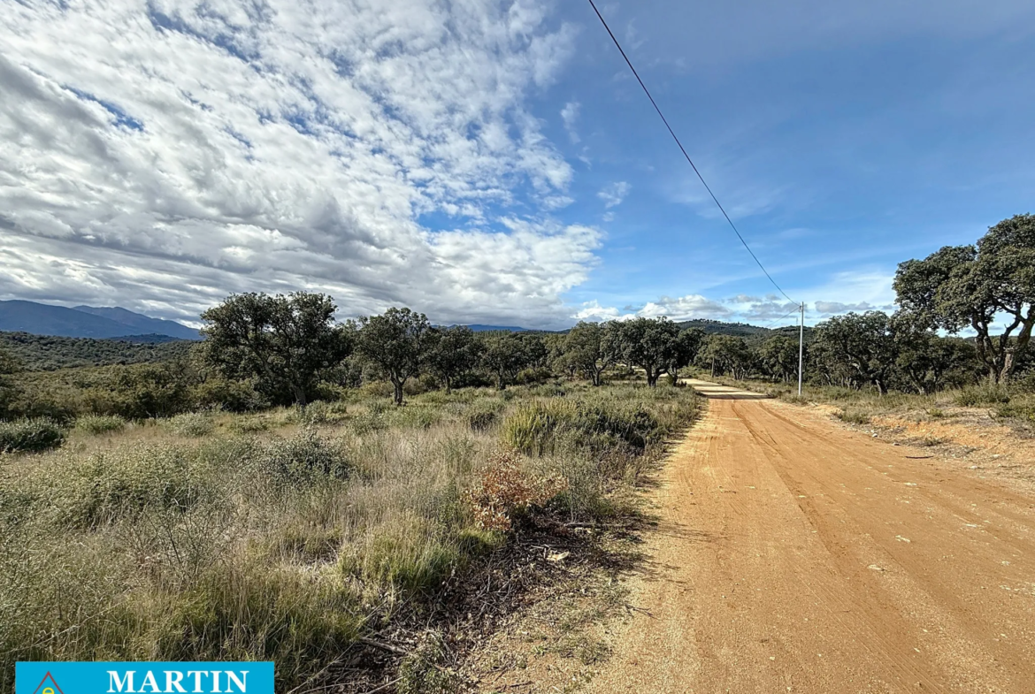 Terrain Agricole à Vendre à Vivès - 32 300 m² 