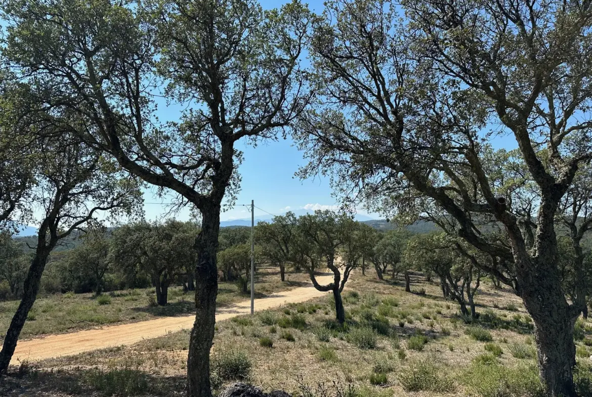 Terrain Agricole à Vendre à Vivès - 32 300 m² 