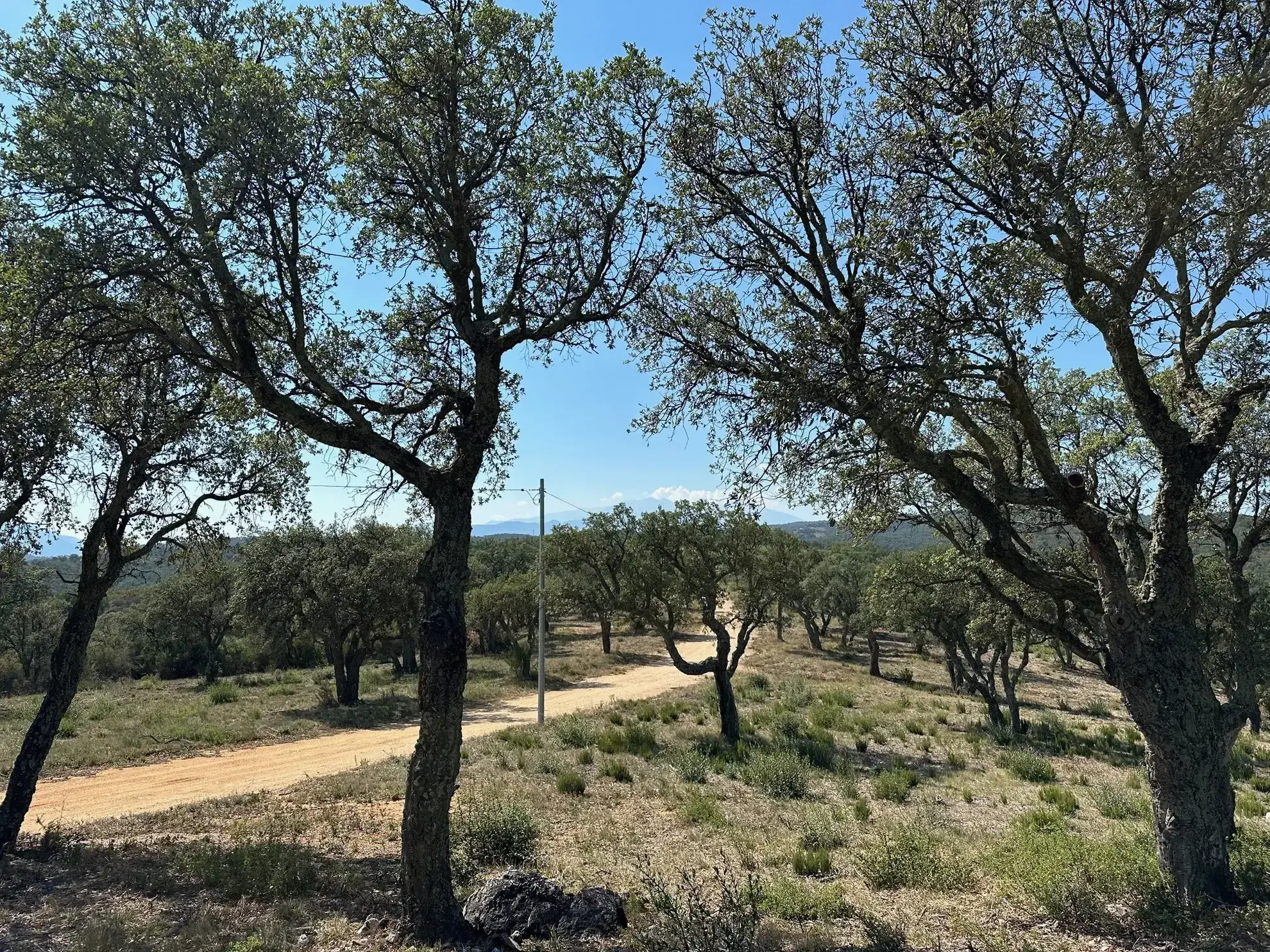 Terrain Agricole à Vendre à Vivès - 32 300 m² 