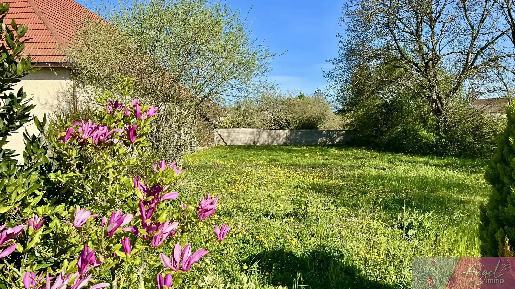 Maison avec grand terrain et dépendances à Belmont 