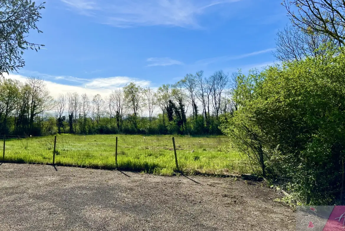 Maison avec grand terrain et dépendances à Belmont 