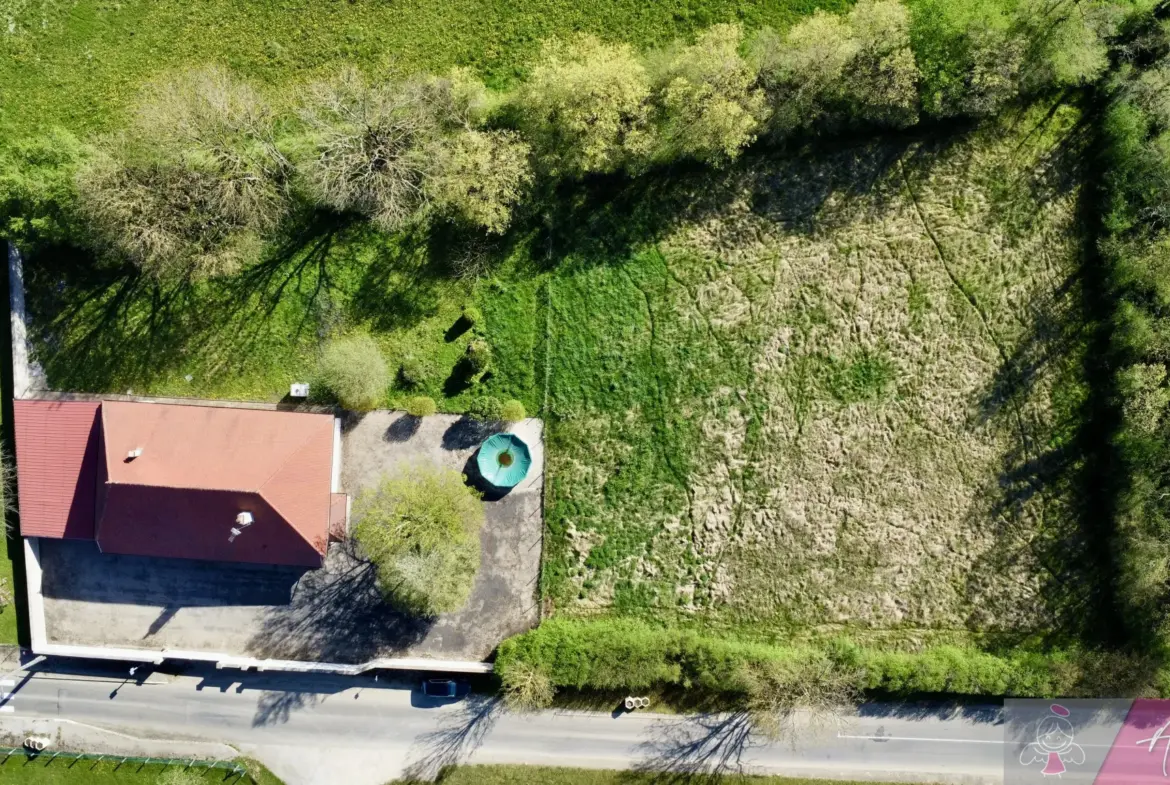 Maison avec grand terrain et dépendances à Belmont 