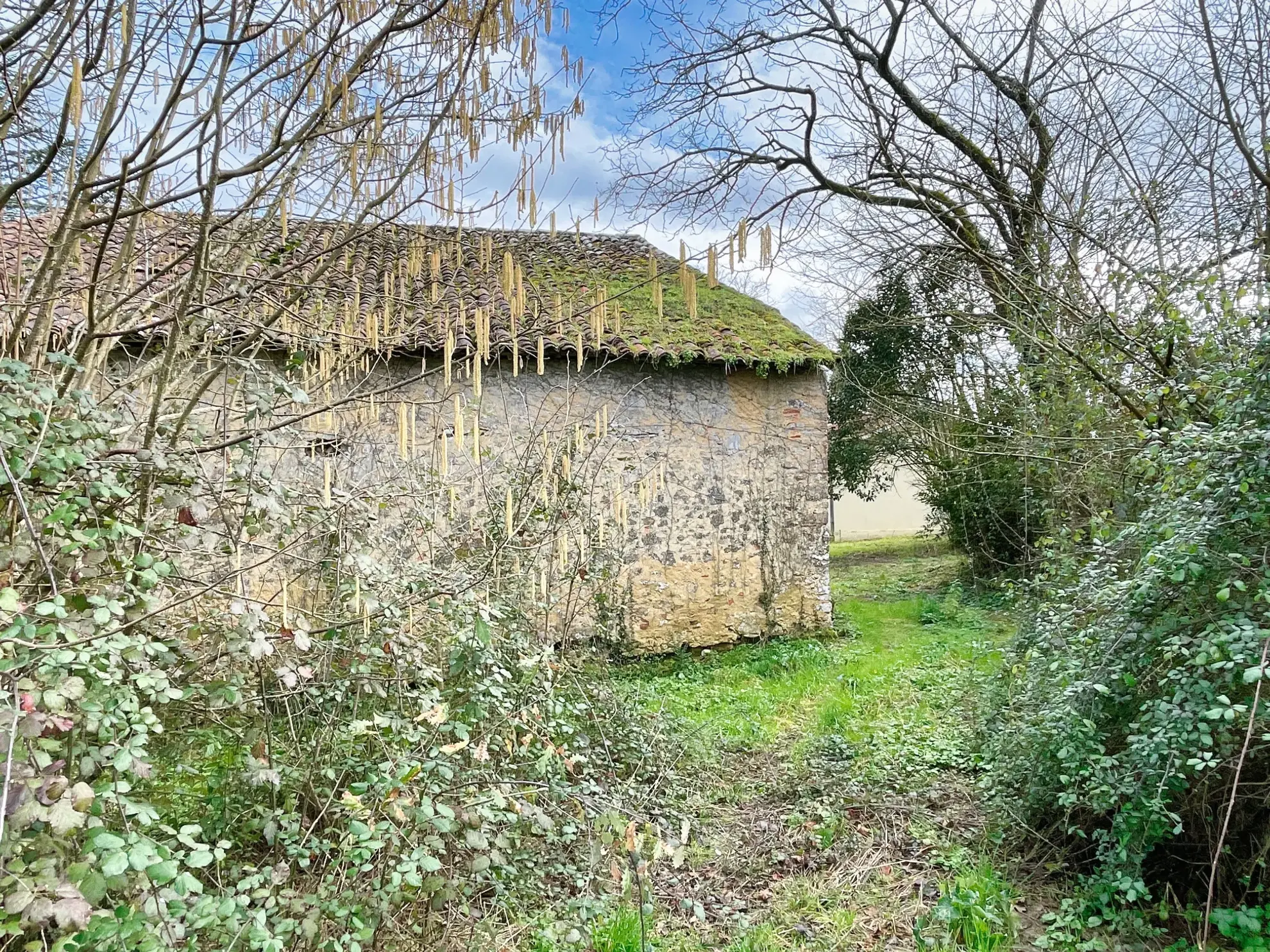 Ensemble Immobilier Unique à Aignan - Maison et Fermette 