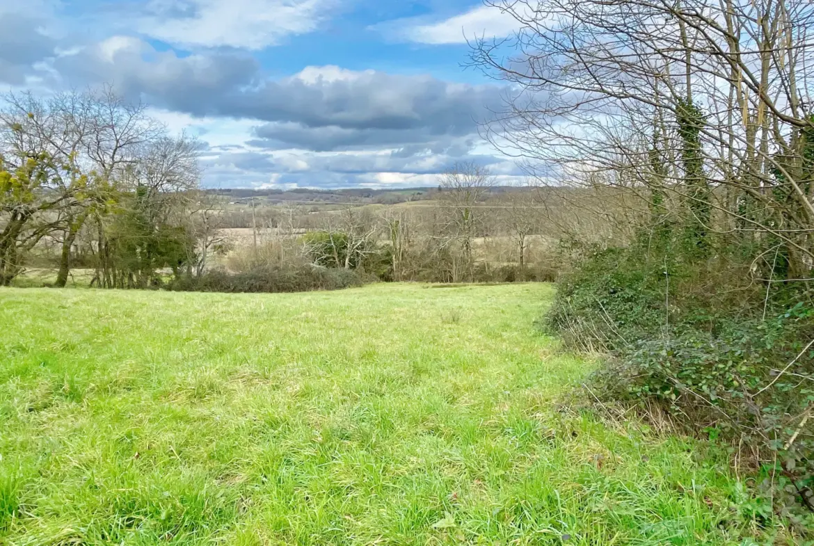 Ensemble Immobilier Unique à Aignan - Maison et Fermette 