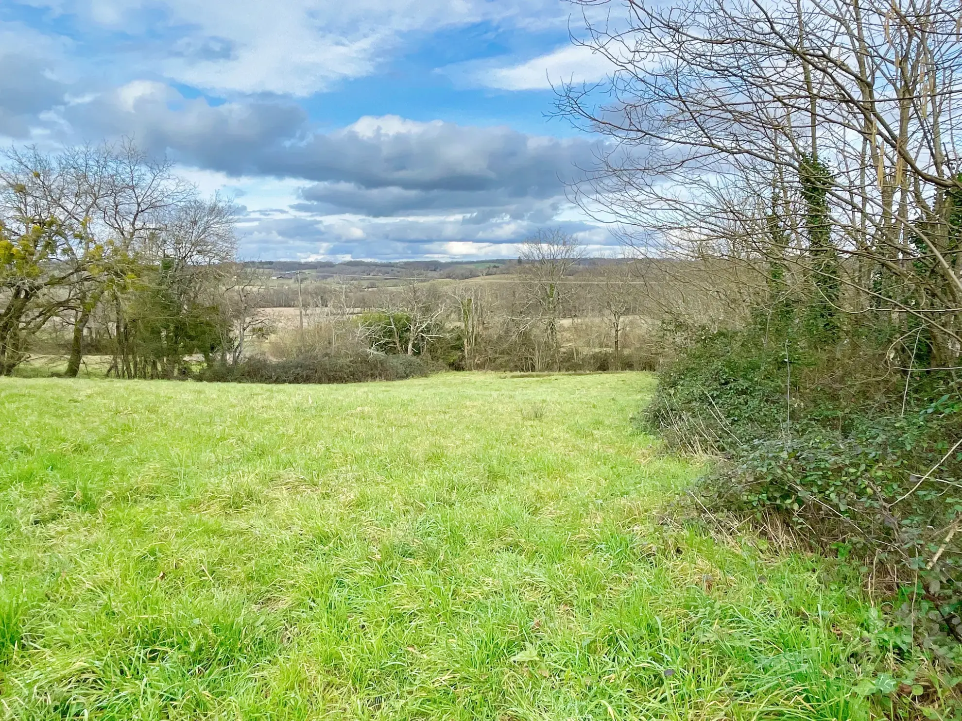 Ensemble Immobilier Unique à Aignan - Maison et Fermette 