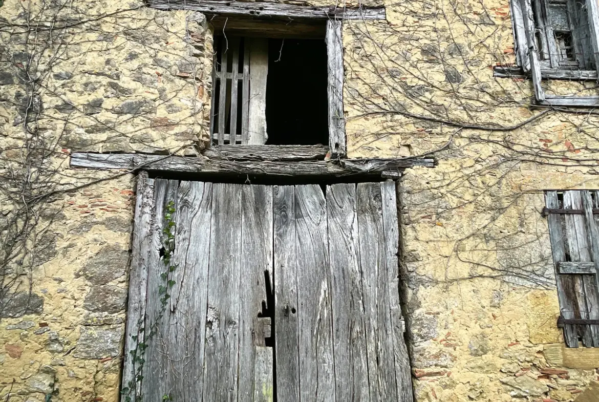 Ensemble Immobilier Unique à Aignan - Maison et Fermette 