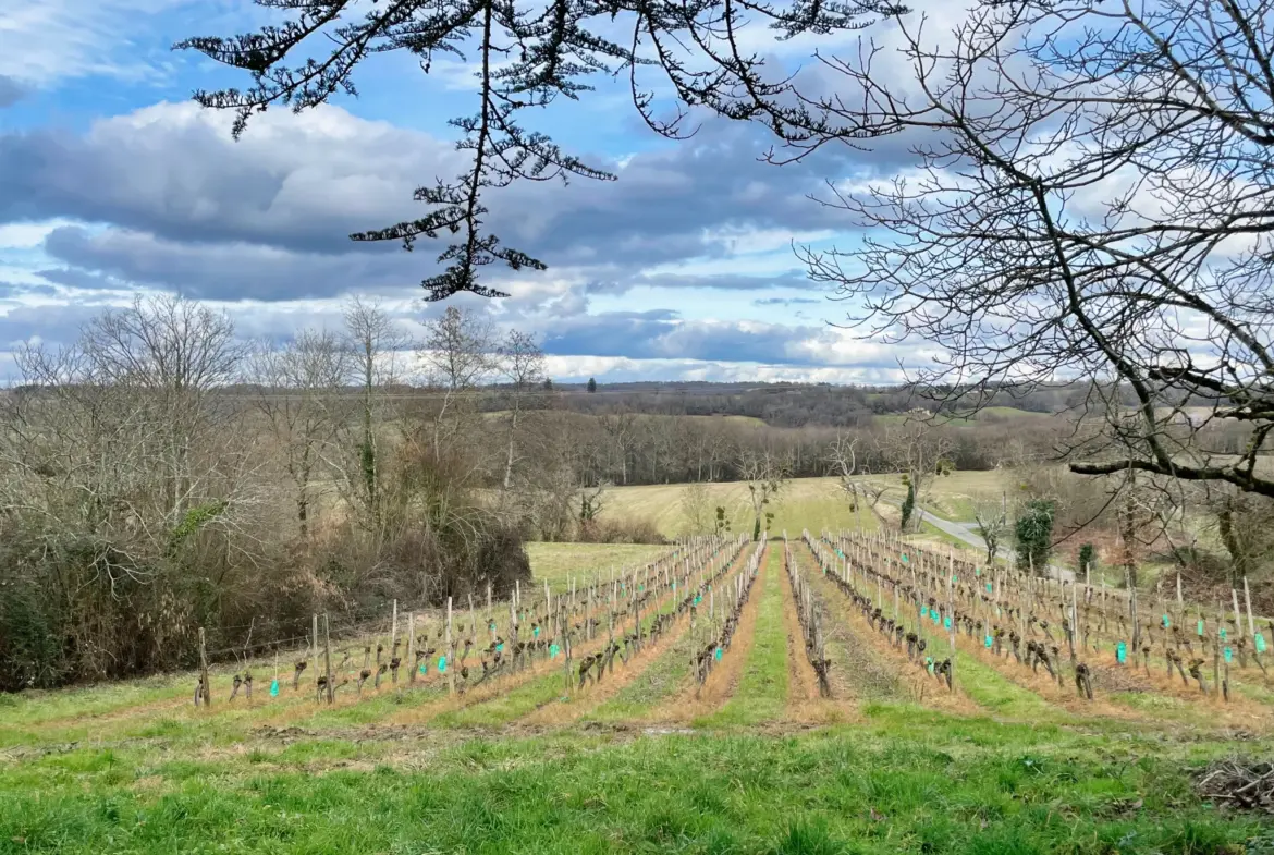 Ensemble Immobilier Unique à Aignan - Maison et Fermette 