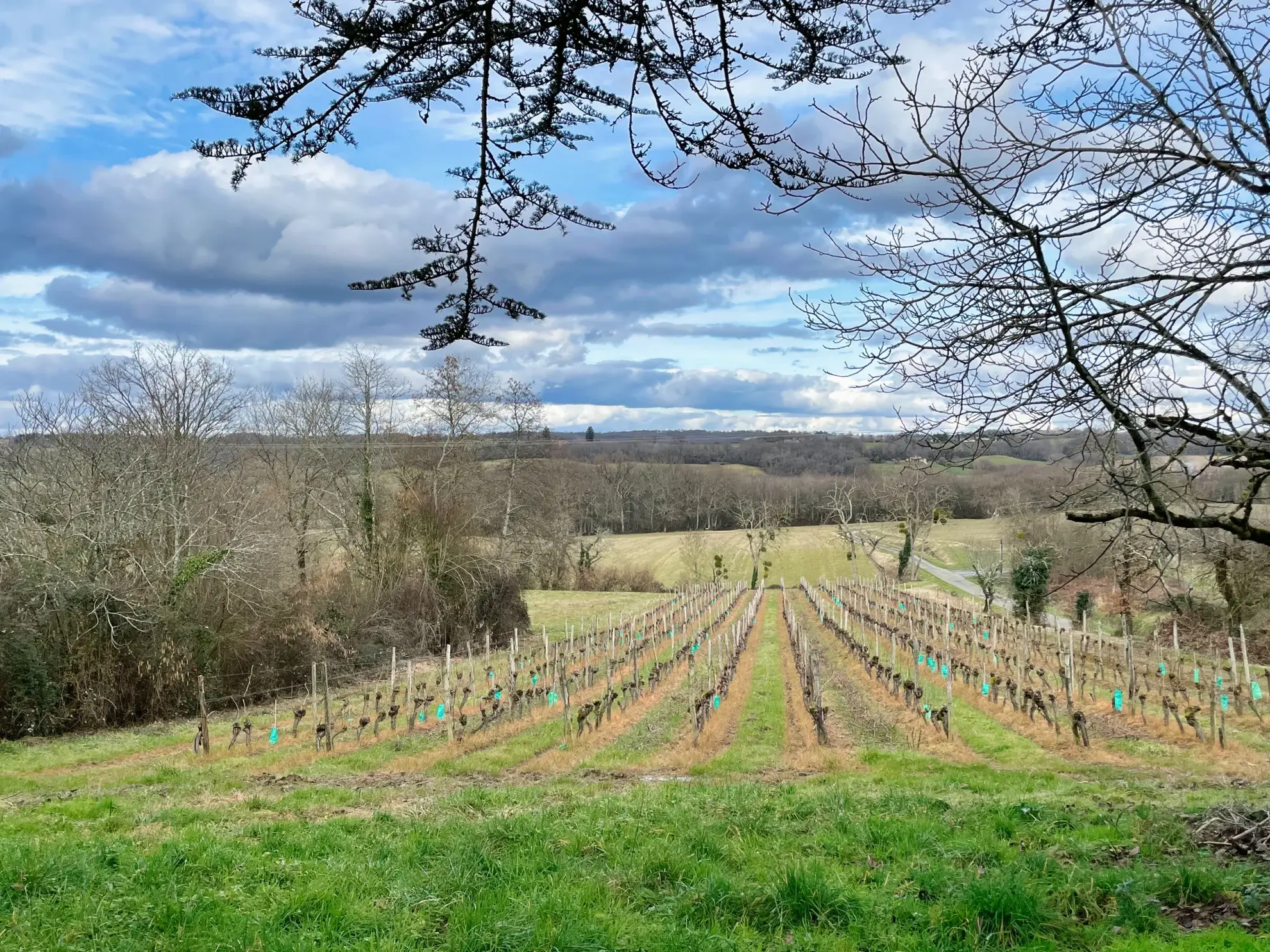 Ensemble Immobilier Unique à Aignan - Maison et Fermette 