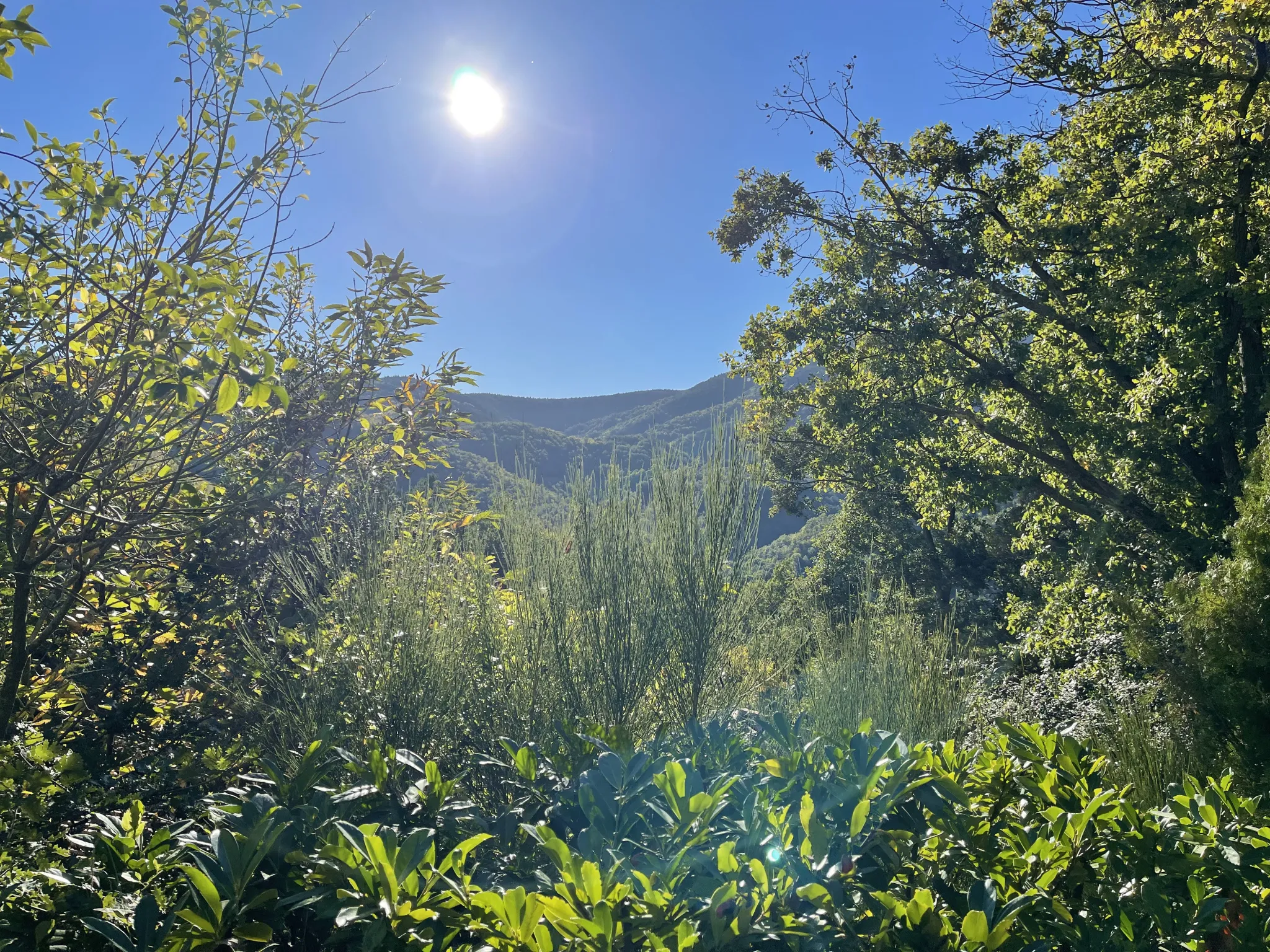 Terrain à bâtir à Las Illas avec vue montagne 