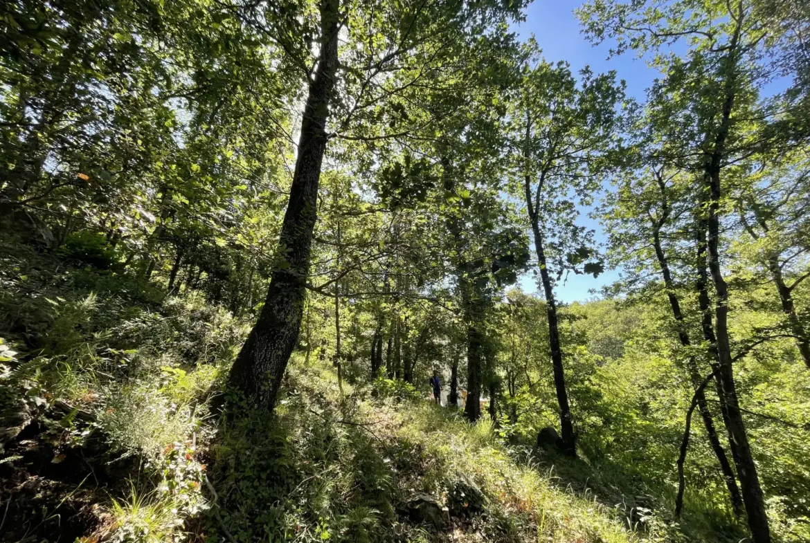 Terrain à bâtir à Las Illas avec vue montagne 