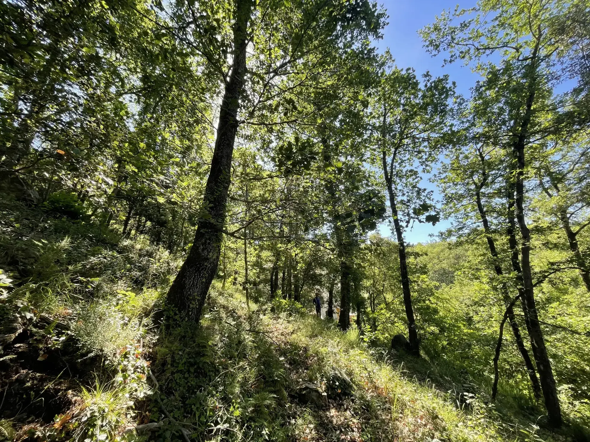 Terrain à bâtir à Las Illas avec vue montagne 