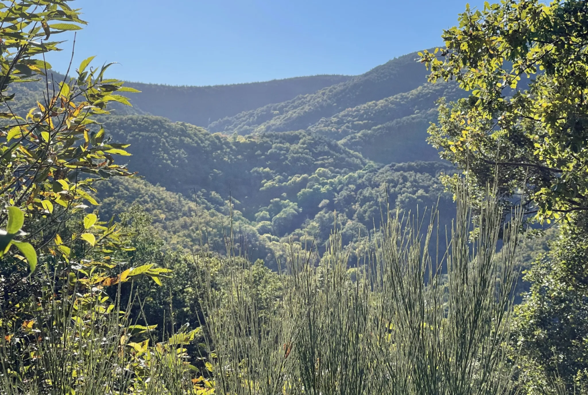 Terrain à bâtir à Las Illas avec vue montagne 