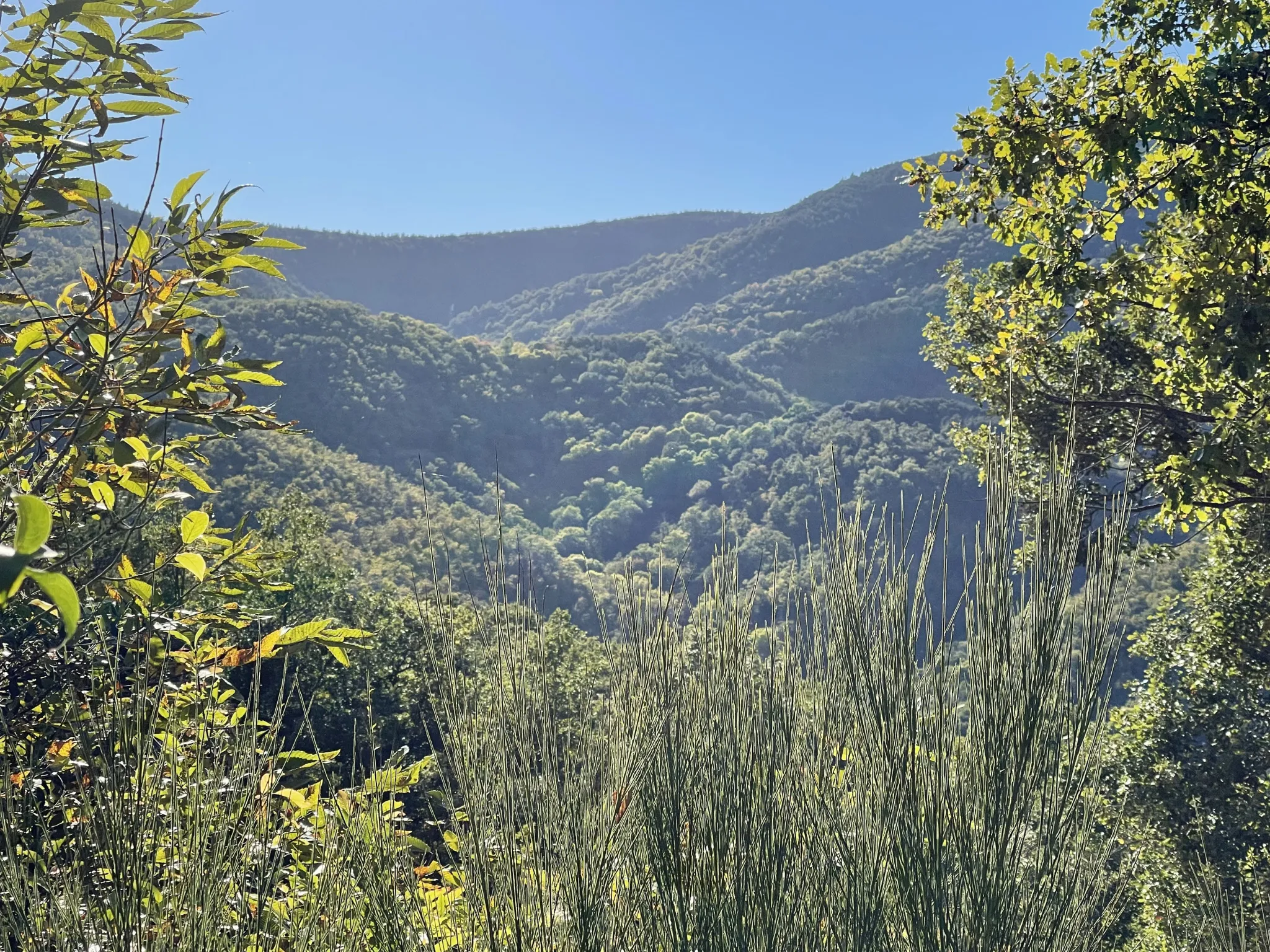 Terrain à bâtir à Las Illas avec vue montagne 