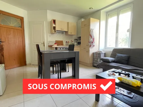 Appartement T2 à vendre à Belfort - Idéal pour investisseurs