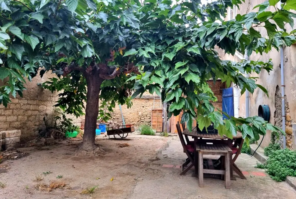 Grande maison avec cour et grenier aménageable à vendre à St Marcel sur Aude 