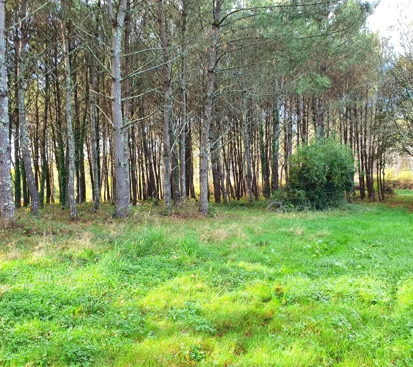 Terrain à bâtir de 5395 m² à Saint-Germain-du-Salembre en Dordogne 