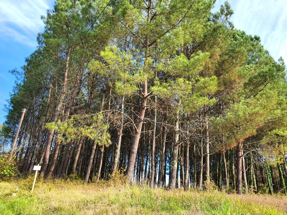 Terrain à bâtir de 5395 m² à Saint-Germain-du-Salembre en Dordogne 