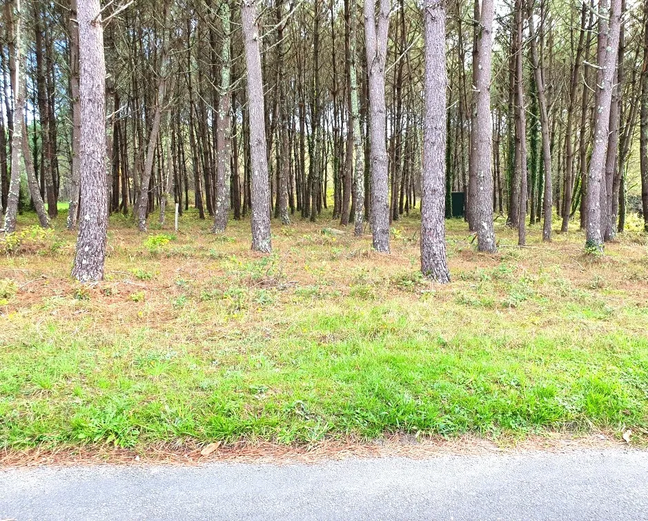 Terrain à bâtir de 5395 m² à Saint-Germain-du-Salembre en Dordogne 