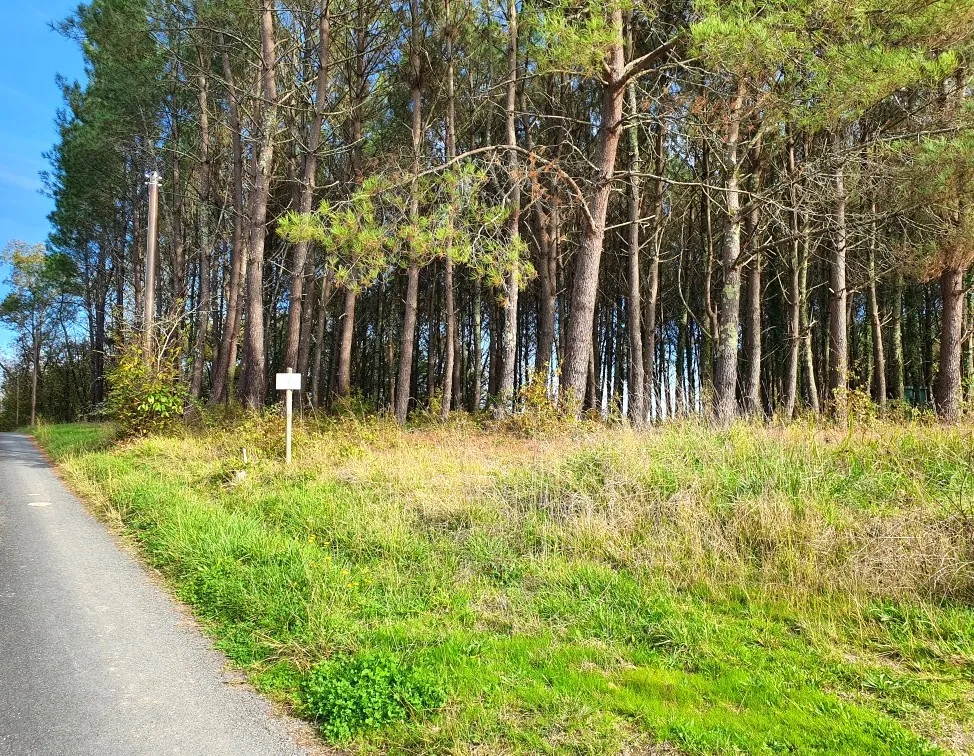 Terrain à bâtir de 5395 m² à Saint-Germain-du-Salembre en Dordogne 