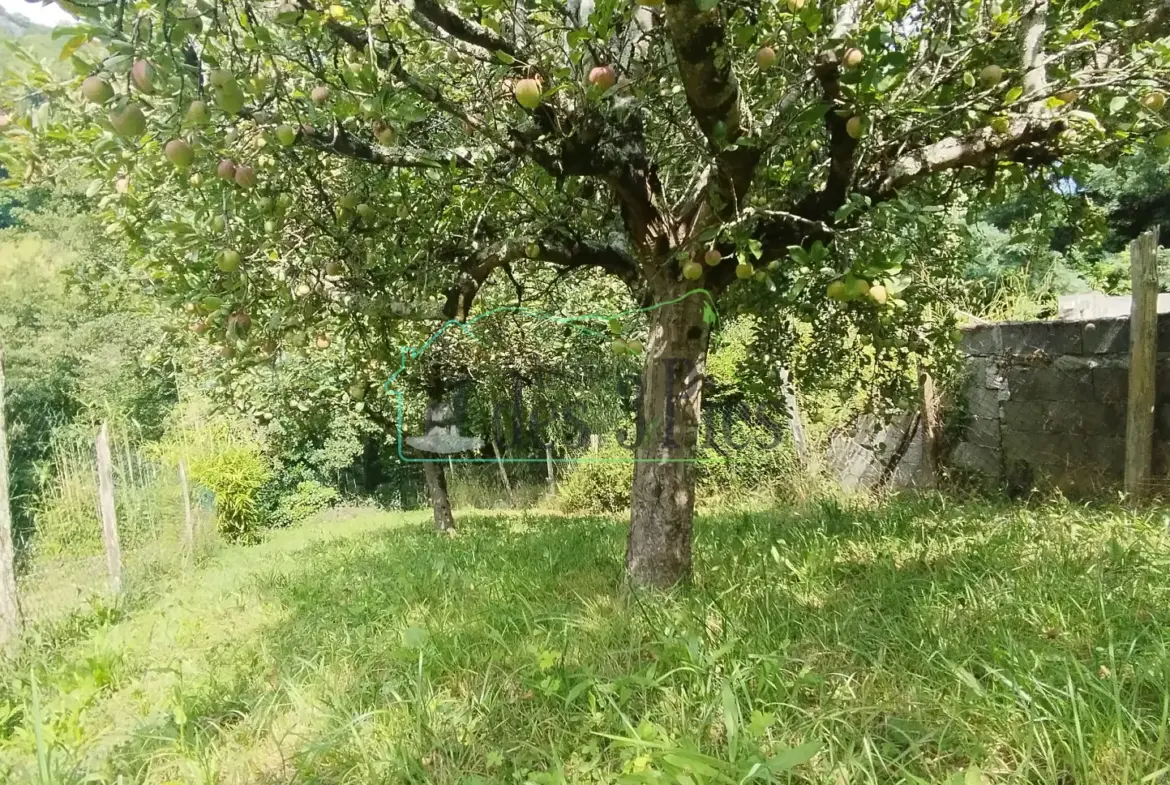 Maison de village de 130 m² avec jardin et garage au Mas d'Azil 