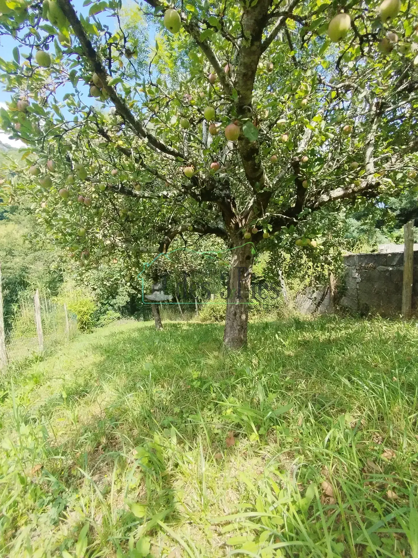 Maison de village de 130 m² avec jardin et garage au Mas d'Azil 