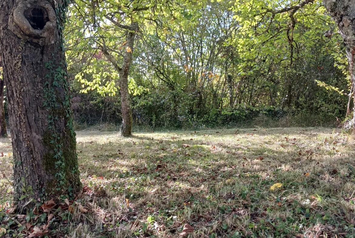 Maison de 6 pièces à Premery avec 3 chambres sur 2085 m² 