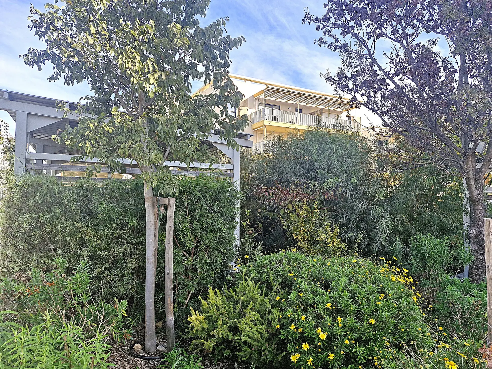 Appartement T3 récent avec terrasse à Solliès-Pont 