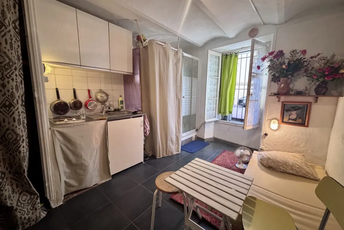 Investissement locatif à Cannes: Appartement de 13 m² au Bas Saint-Nicolas 