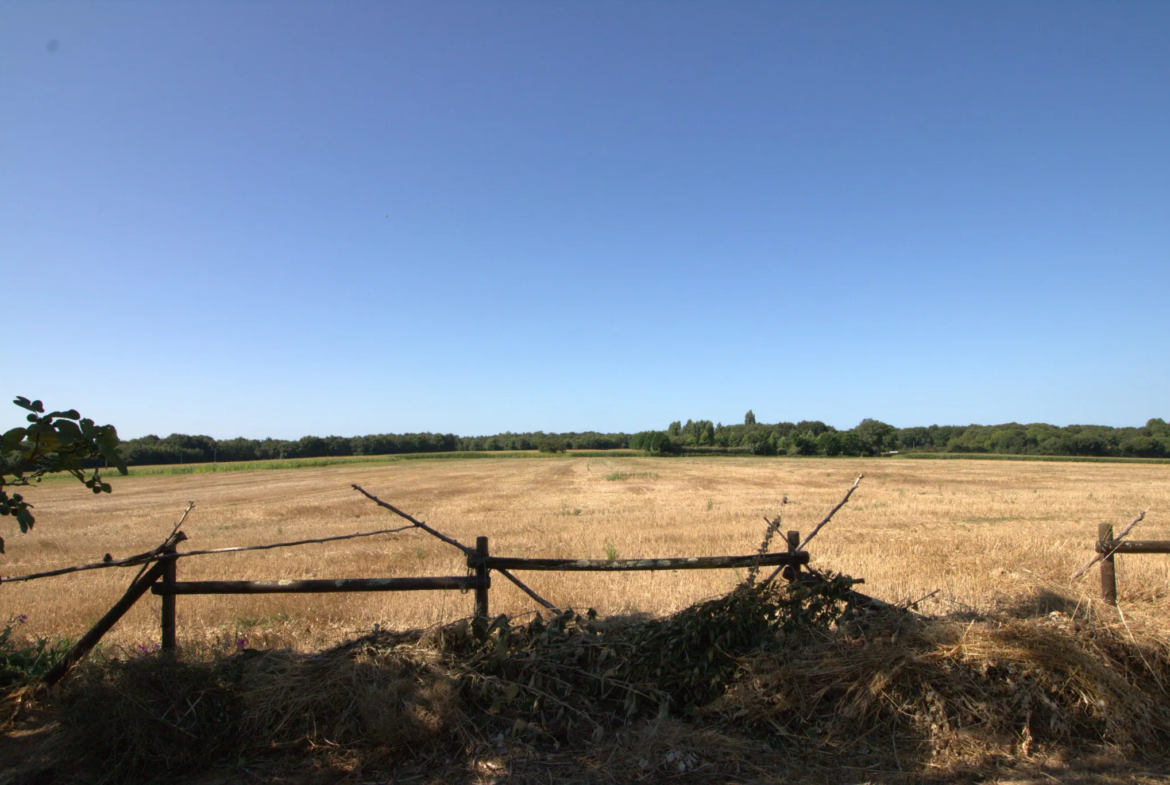 Ensemble immobilier avec 3 maisons et jardin à Nieul les Stes 