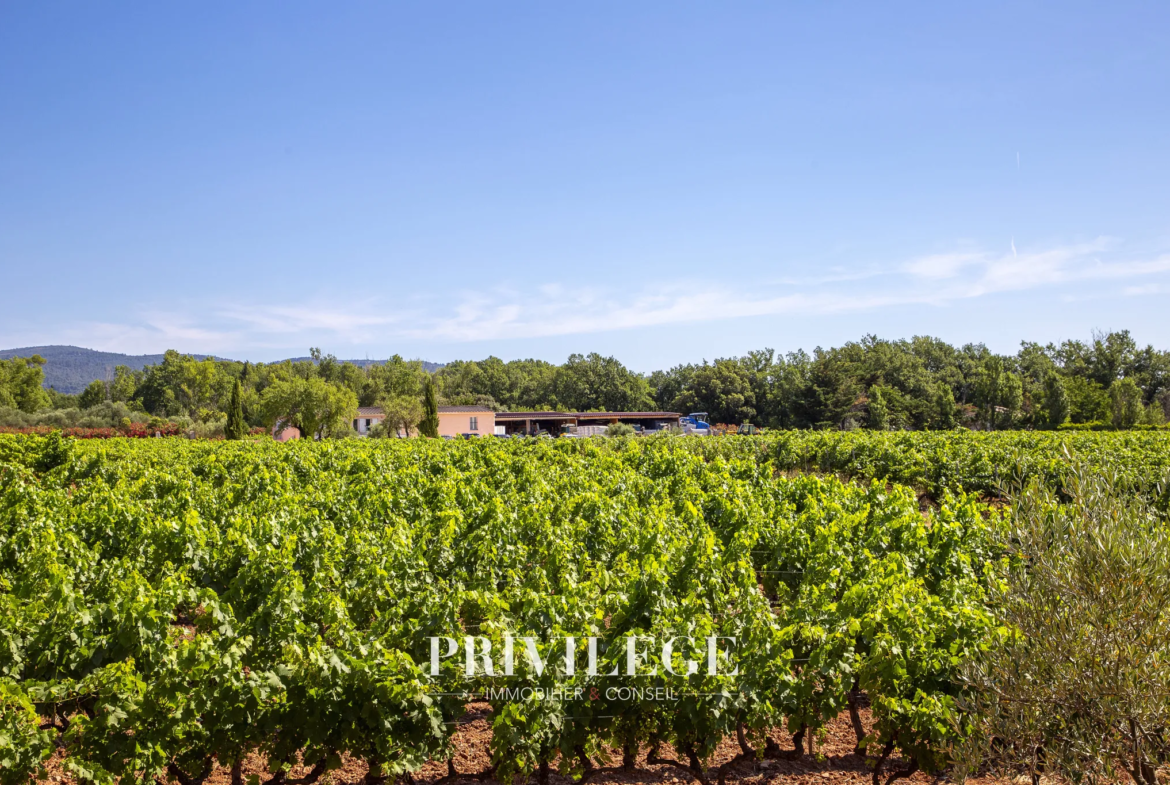 Vente d'un Vignoble Renommé en Provence avec Plus de 100 Hectares 