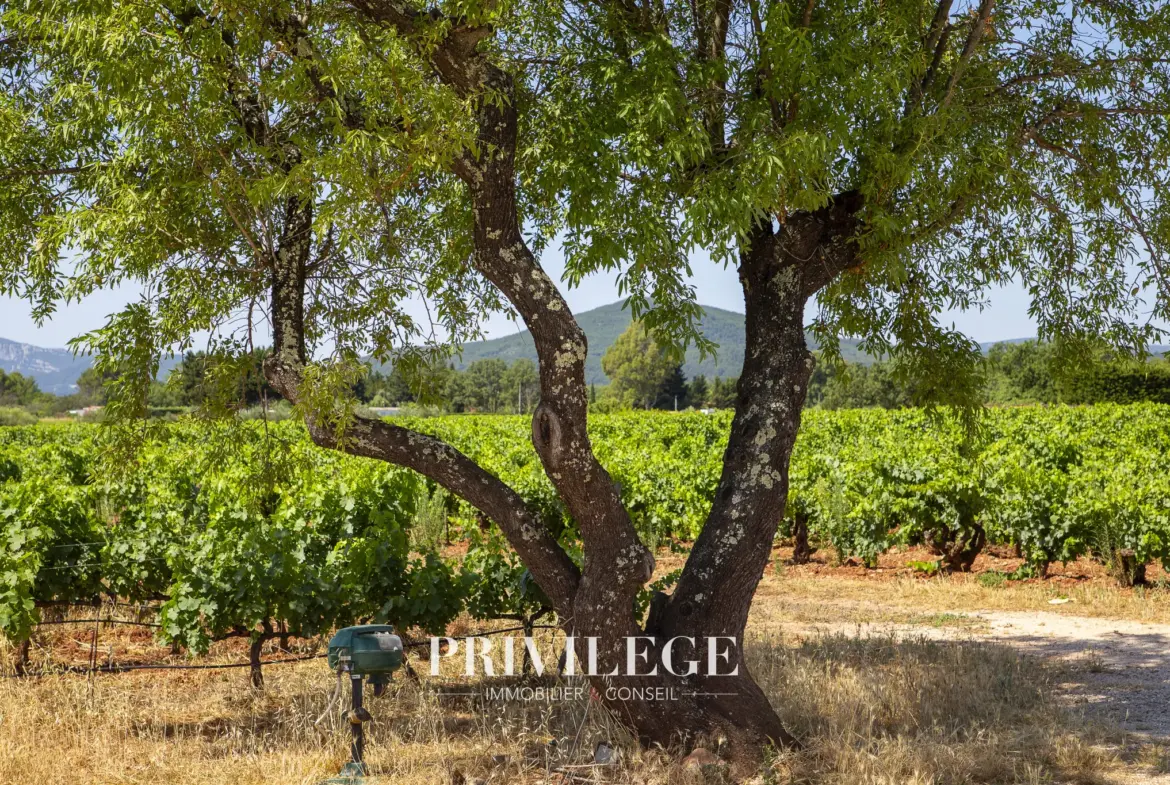 Vente d'un Vignoble Renommé en Provence avec Plus de 100 Hectares 