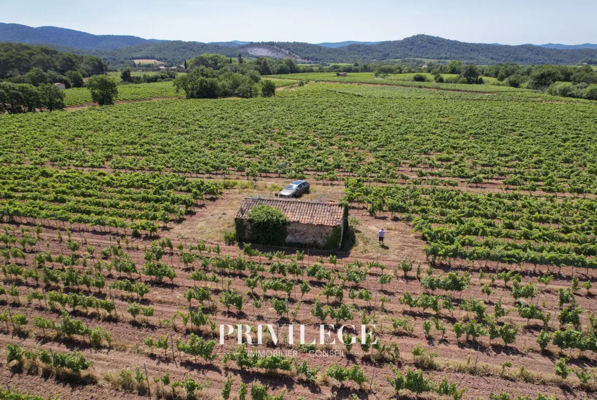 Vente d'un Vignoble Renommé en Provence avec Plus de 100 Hectares 