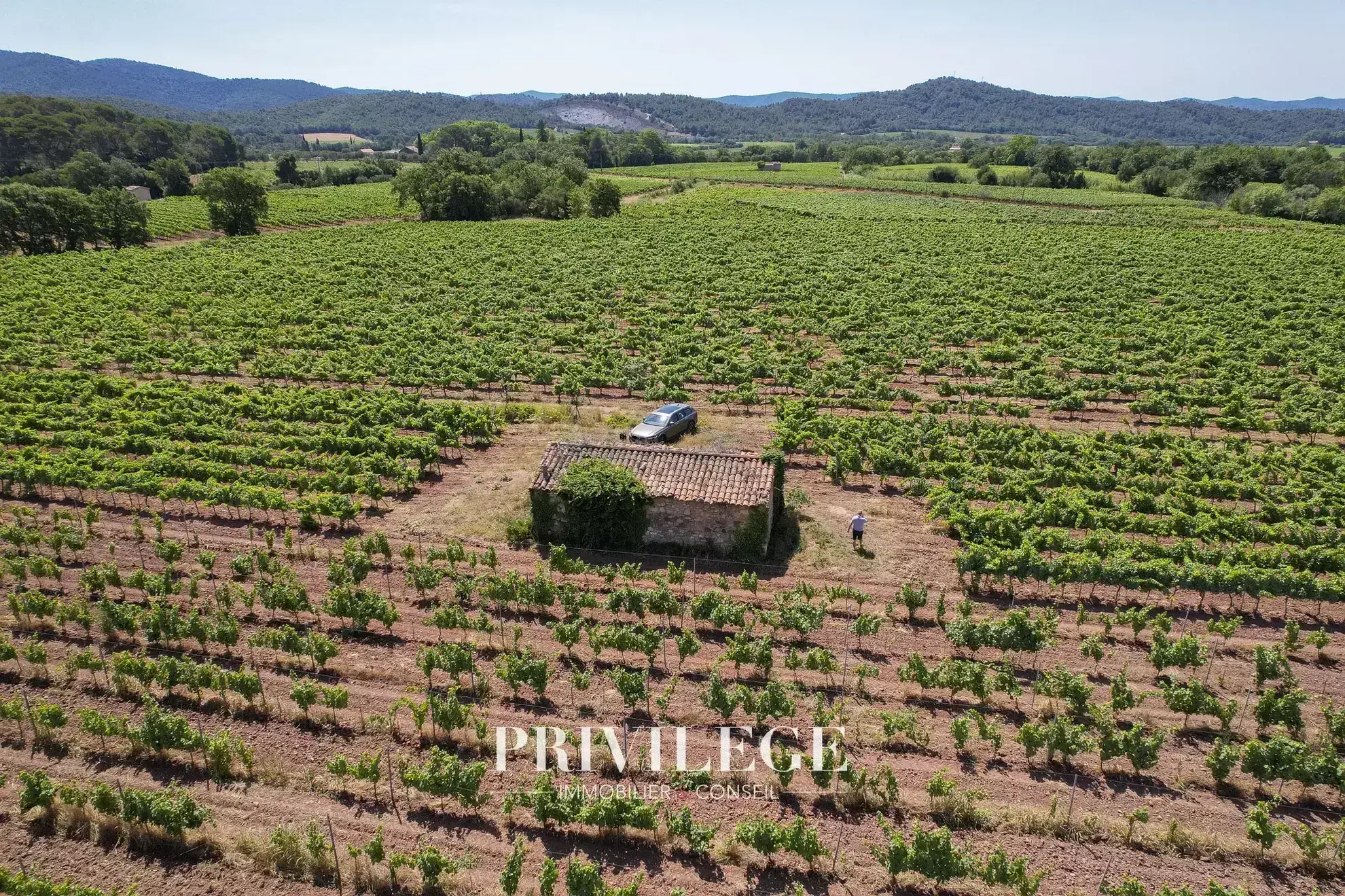 Vente d'un Vignoble Renommé en Provence avec Plus de 100 Hectares 